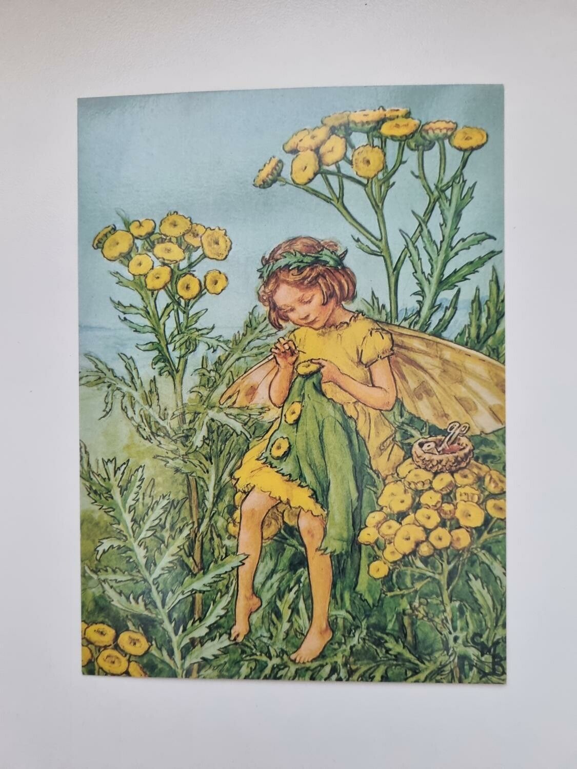 Vykort - Cicely Mary Barker, Renfana