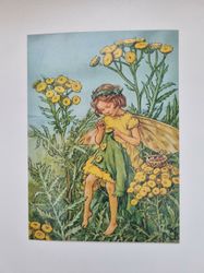 Vykort - Cicely Mary Barker, Renfana