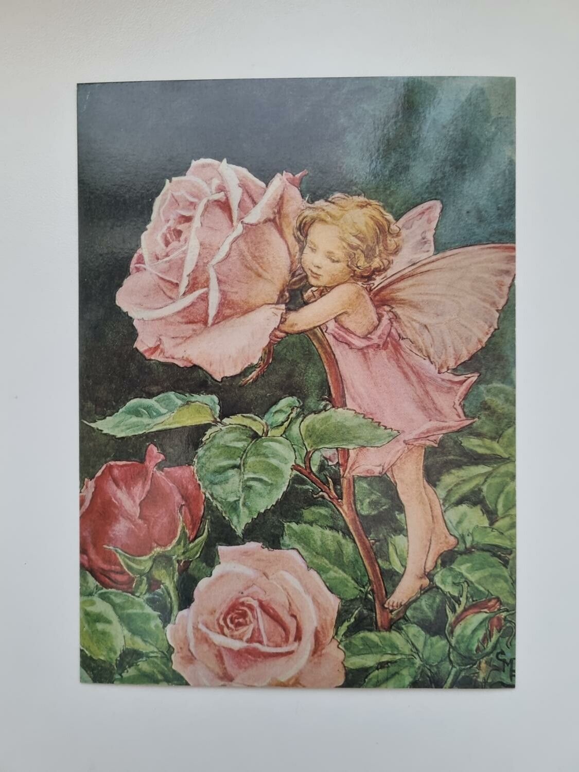 Vykort - Cicely Mary Barker, Rosenälvan