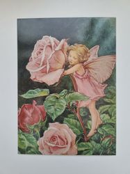 Vykort - Cicely Mary Barker, Rosenälvan