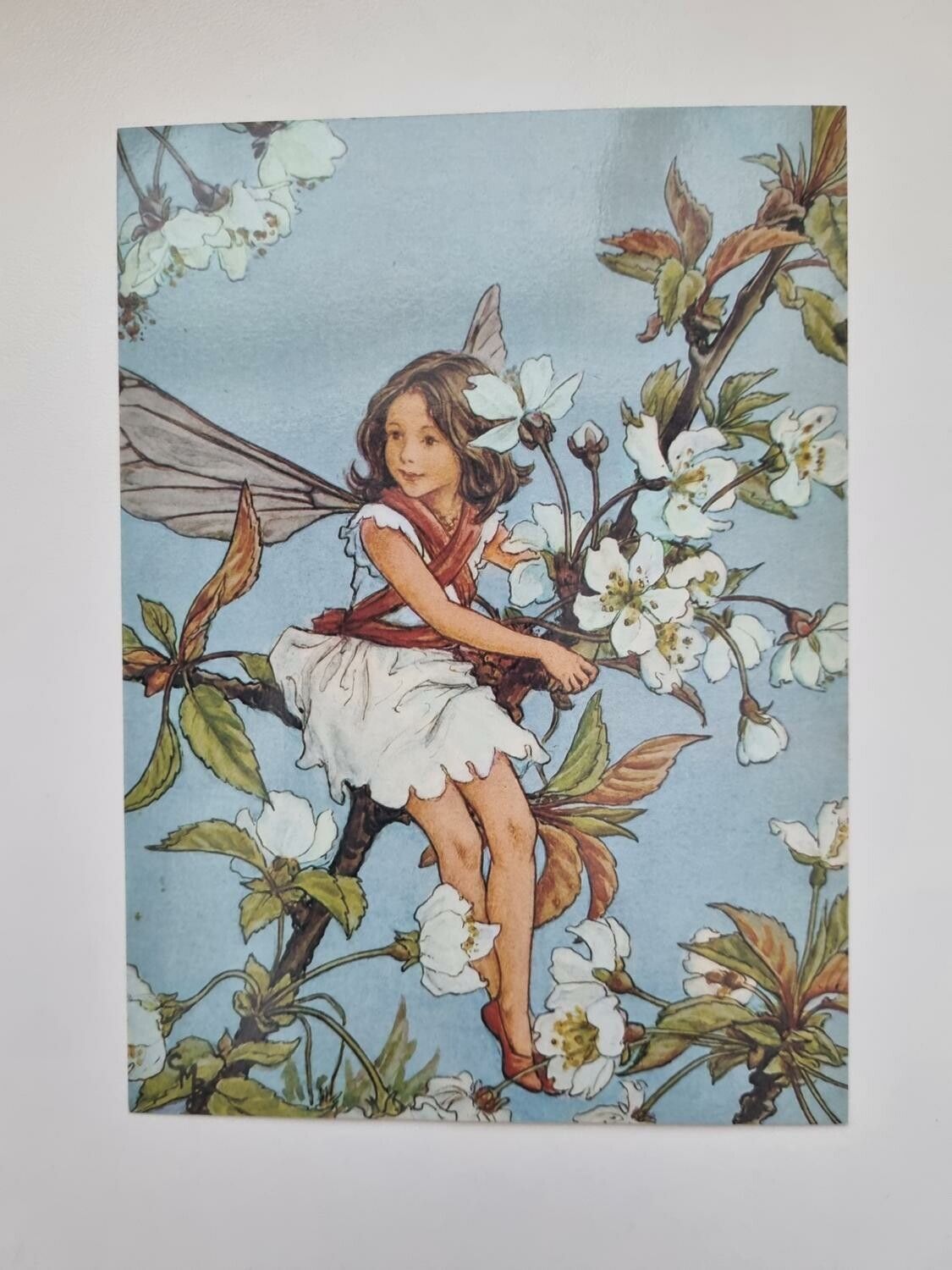 Vykort - Cicely Mary Barker, Viltkörsbärsblom