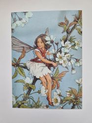Vykort - Cicely Mary Barker, Viltkörsbärsblom
