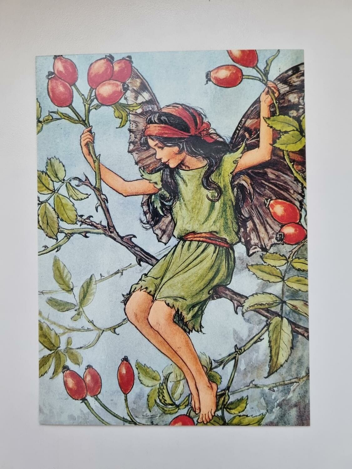 Vykort - Cicely Mary Barker, Älvan Nypon