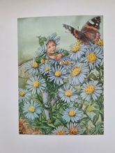 Vykort - Cicely Mary Barker, Älvan Aster