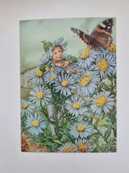 Vykort - Cicely Mary Barker, Älvan Aster
