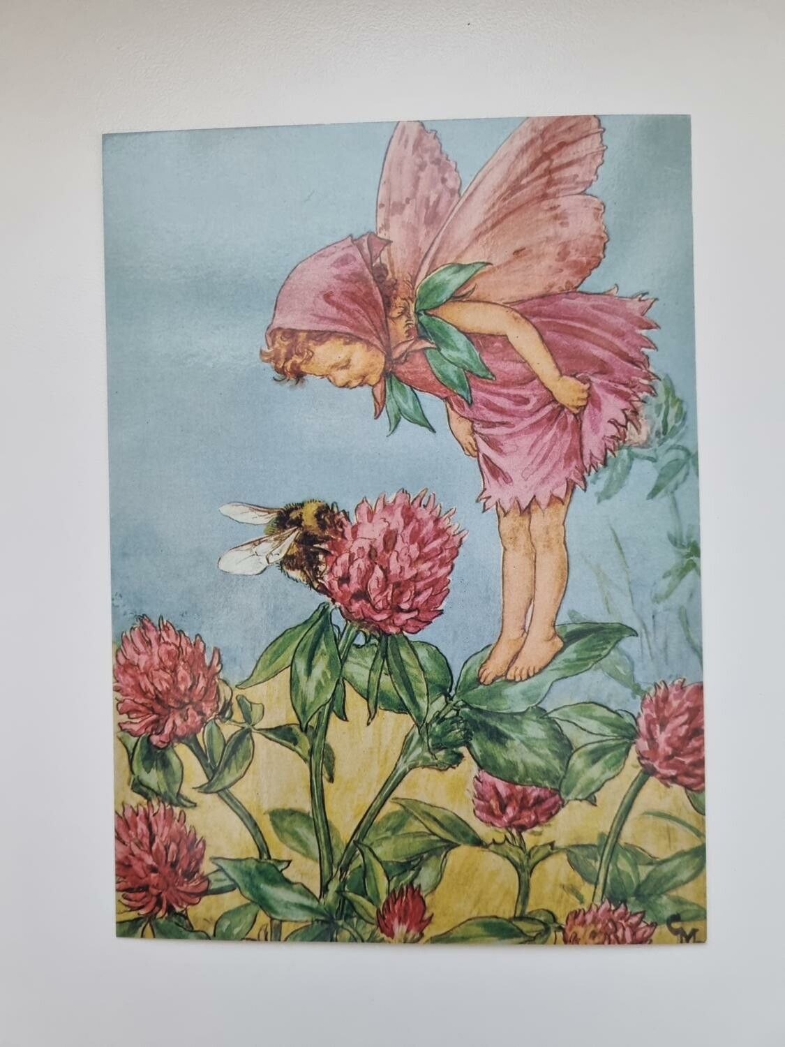 Vykort - Cicely Mary Barker, Älvan Rödklöver