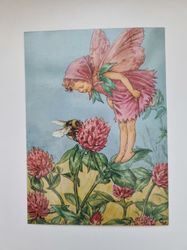 Vykort - Cicely Mary Barker, Älvan Rödklöver