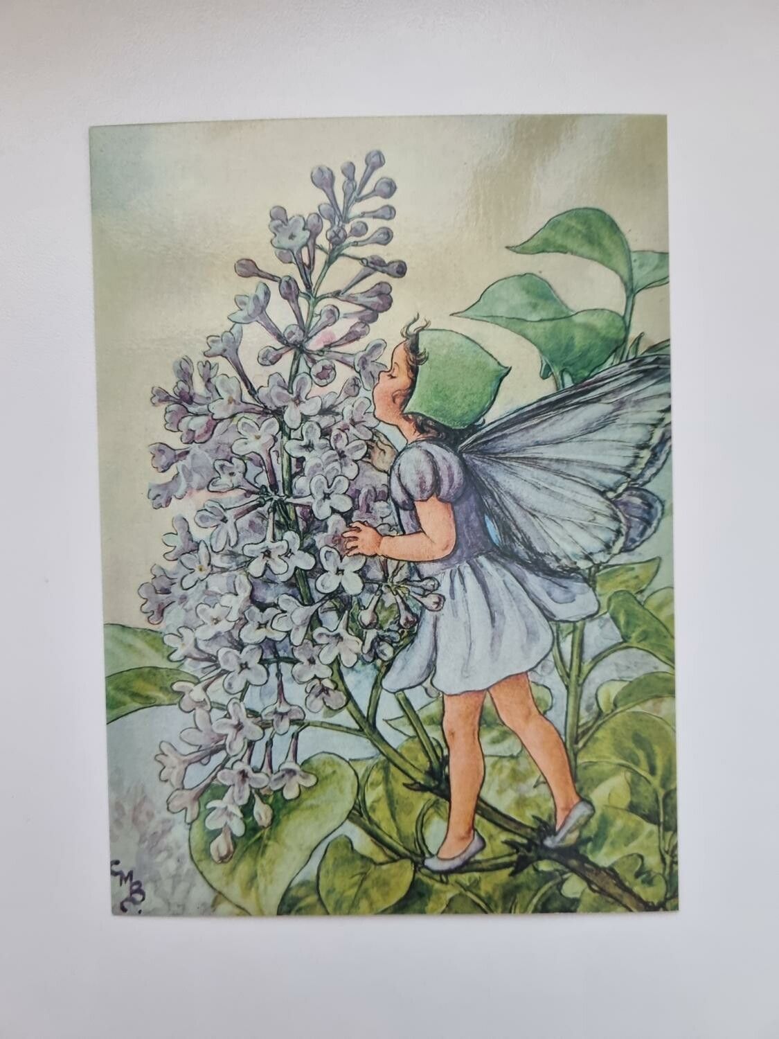 Vykort - Cicely Mary Barker, Älvan Syrén