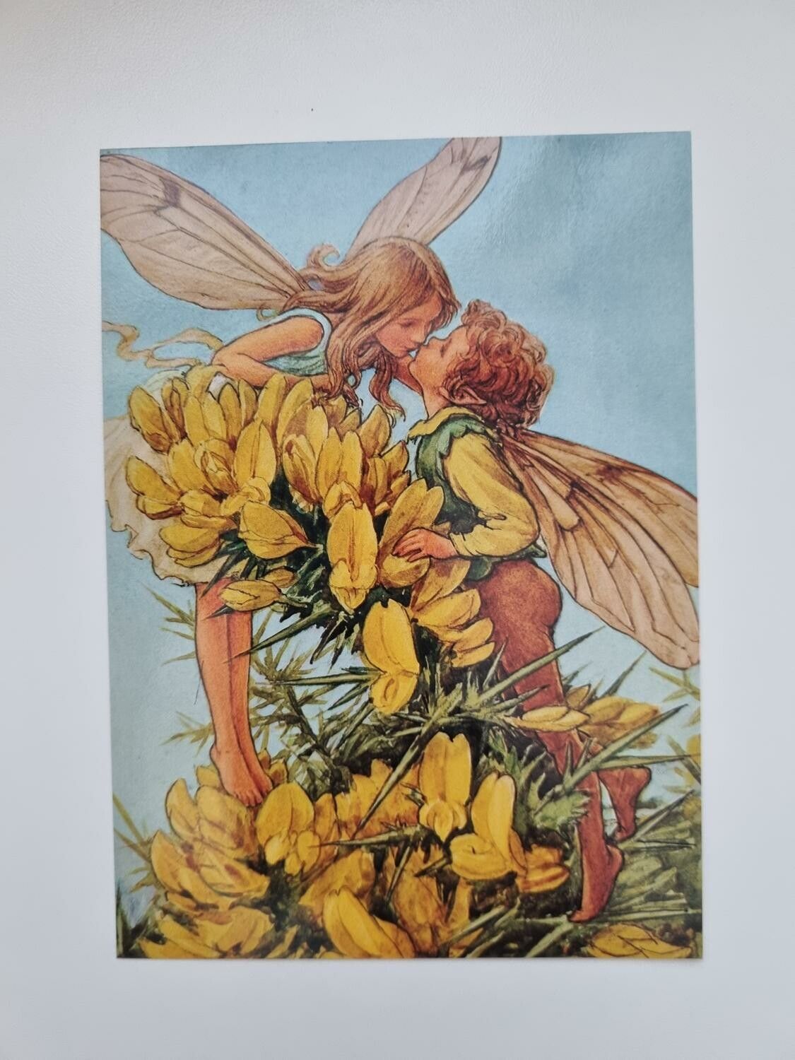 Vykort - Cicely Mary Barker, Ärttörne
