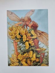 Vykort - Cicely Mary Barker, Ärttörne