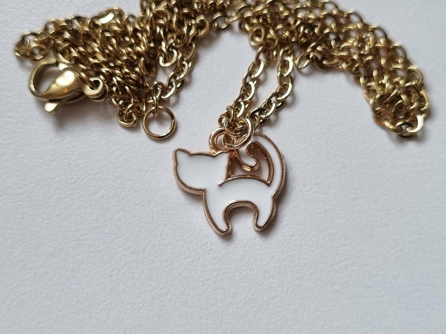 Halsband Vit Katt
