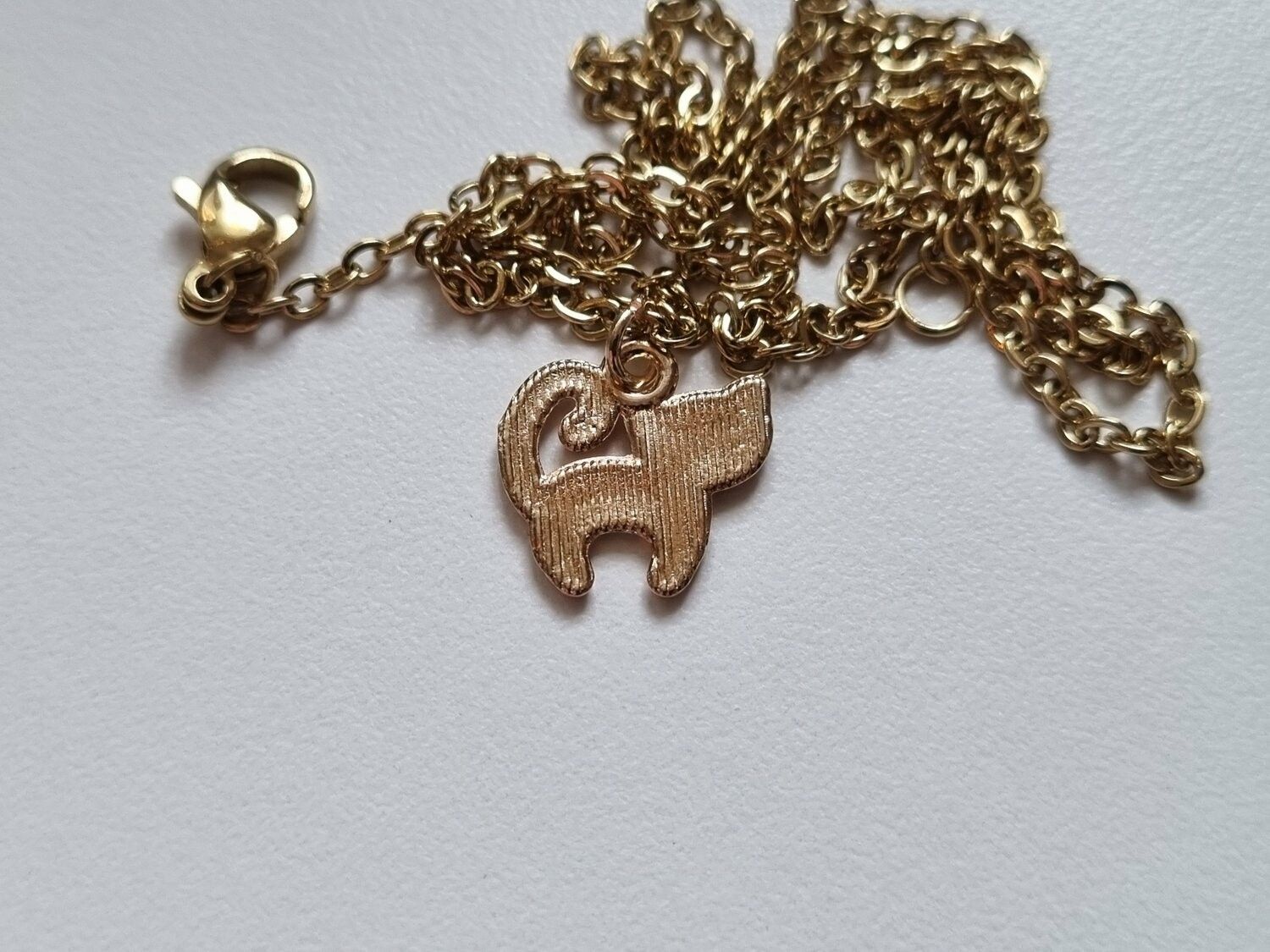 Halsband Vit Katt