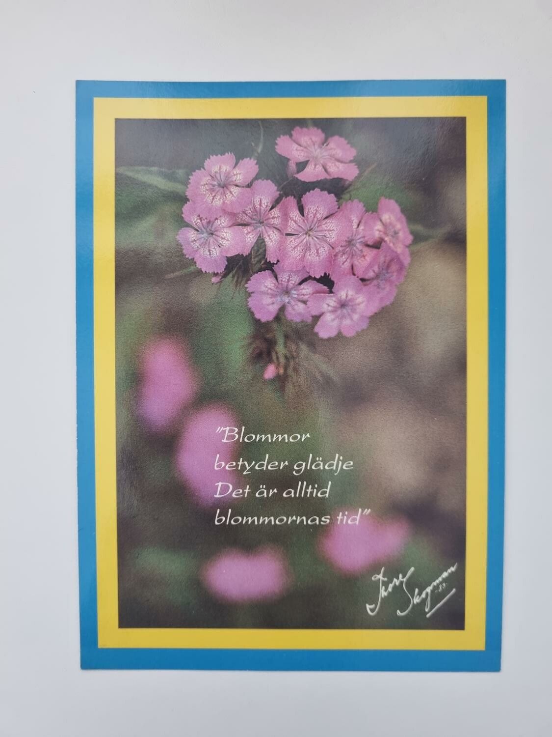 Vykort - Thore Skogman - "Blommor betyder glädje. Det är alltid blommornas tid"