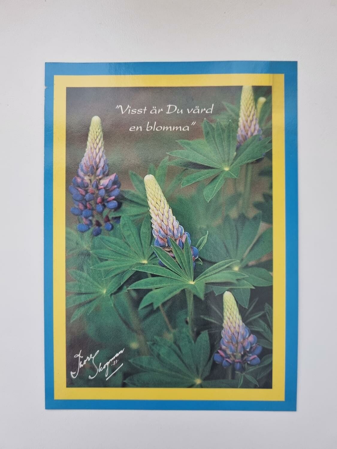 Vykort - Thore Skogman - "Visst är Du värd en blomma"
