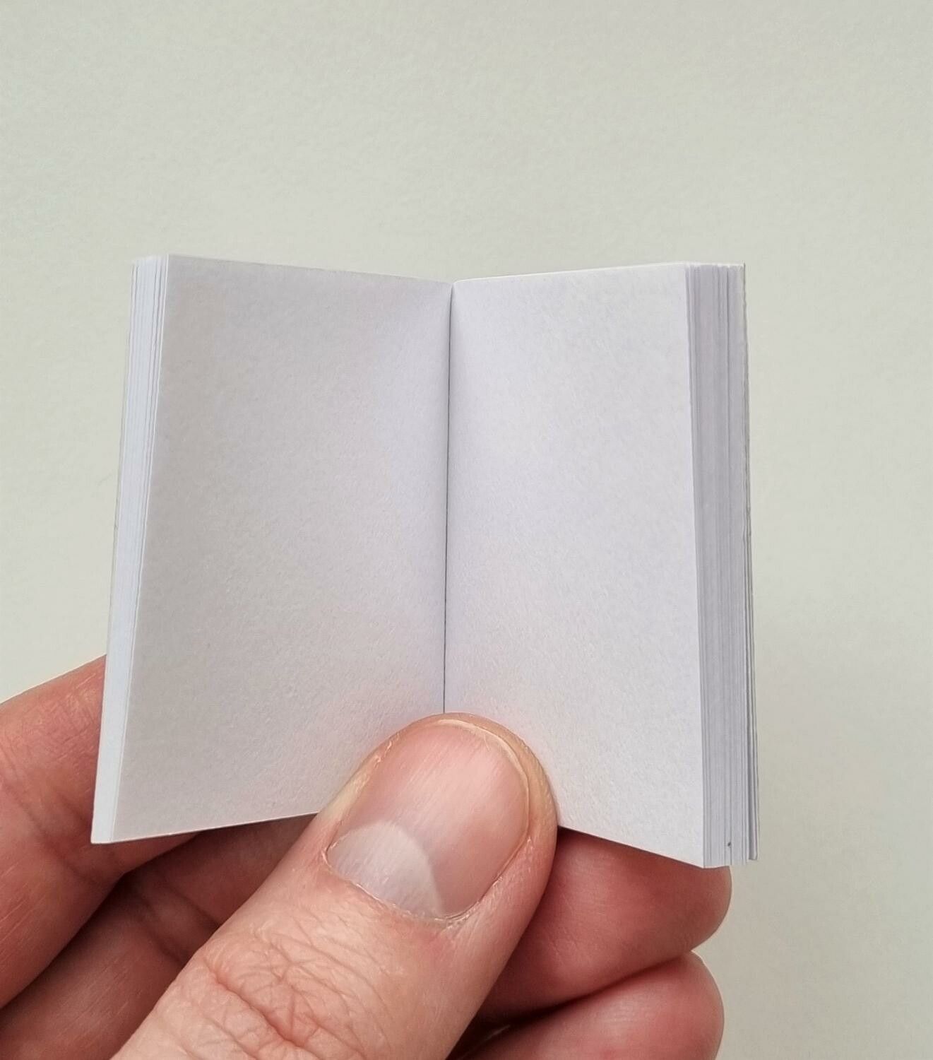 1 st Miniatyrbok, minibok för tittskåp / dockskåp med mera (bok 17)