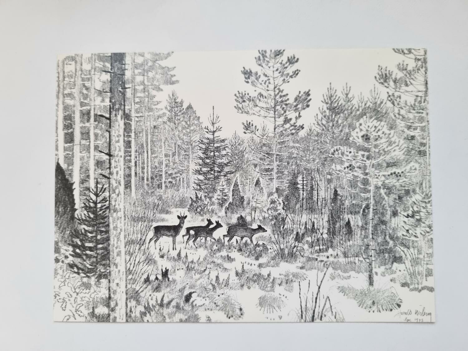 Vykort - Harald Wiberg, I rådjurspasset