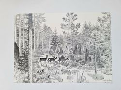 Vykort - Harald Wiberg, I rådjurspasset