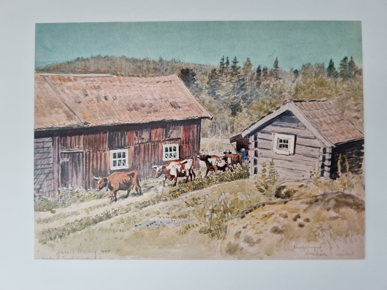 Vykort - Harald Wiberg, I vall
