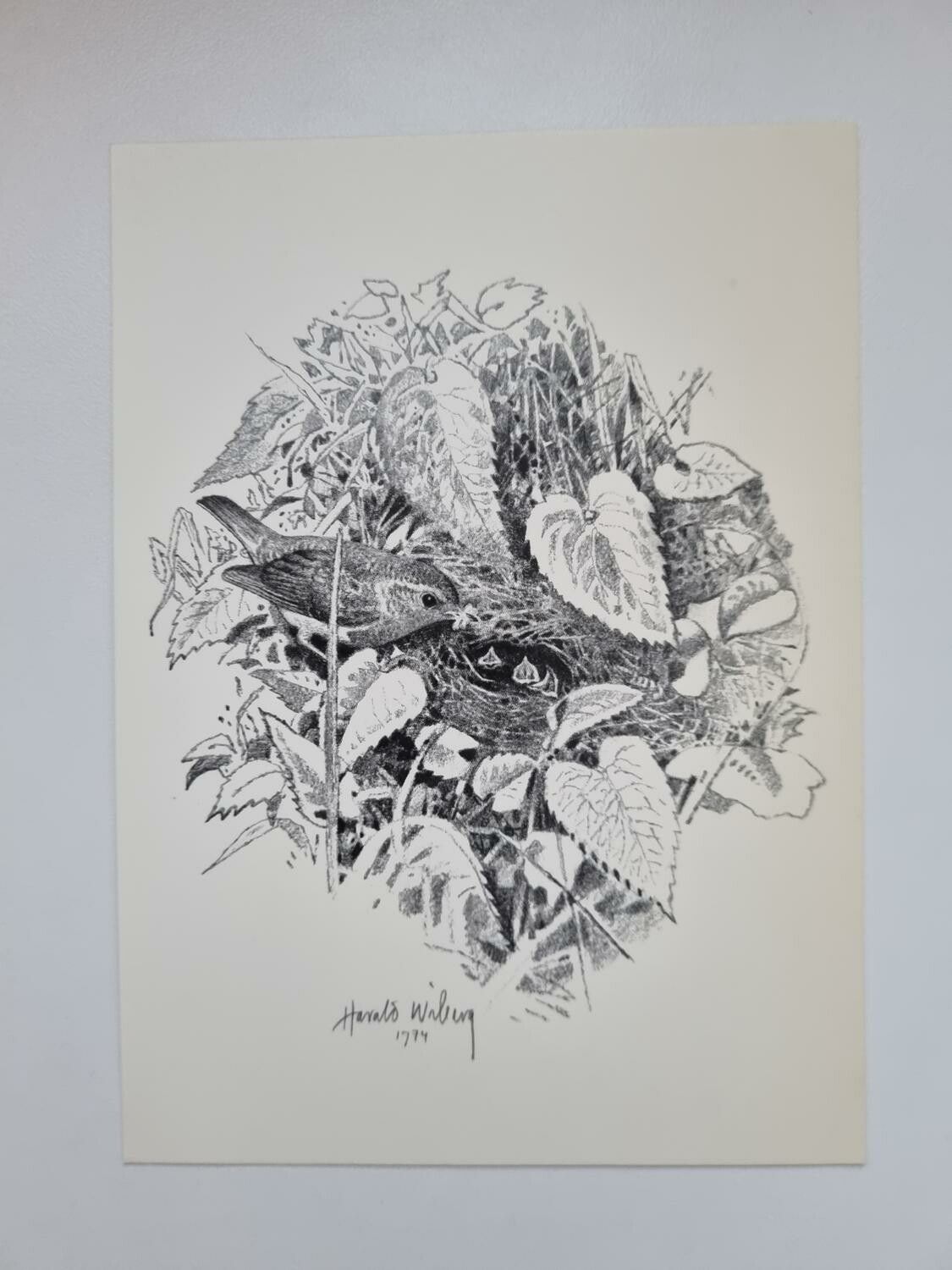 Vykort - Harald Wiberg, Rödhakebo
