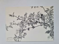 Vykort - Harald Wiberg, Rödstjärt i blommande körsbär
