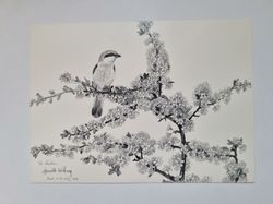 Vykort - Harald Wiberg, Törnskata i blommande slån