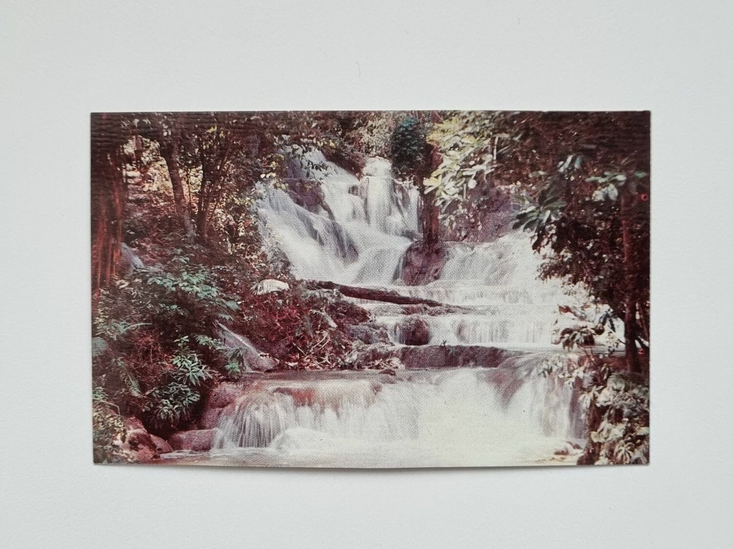 Litet vykort / bild, Dunn's River, Saint Ann, Jamaica