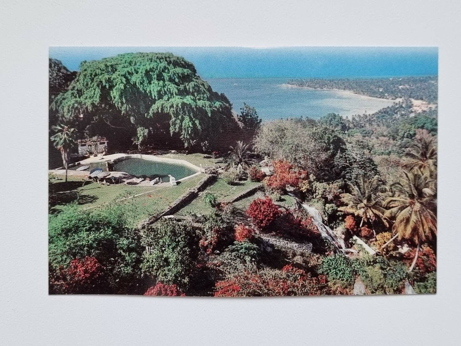 Litet vykort / bild, Shaw Park, Ocho Rios, Jamaica, The W.