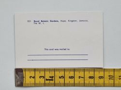 Litet vykort / bild, Royal Botanic Gardens, Hope, Kingston, Jamaica