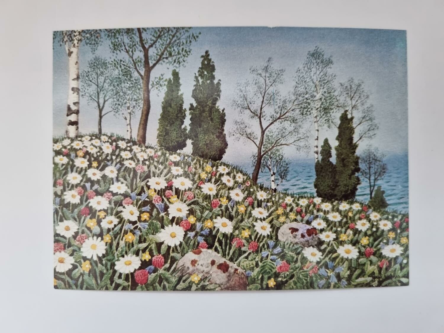 Vykort - Oskar Bergman, Blommor vid sjö