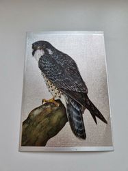 Vykort - Peregrine Falcon by R.J. Smith