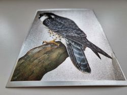 Vykort - Peregrine Falcon by R.J. Smith