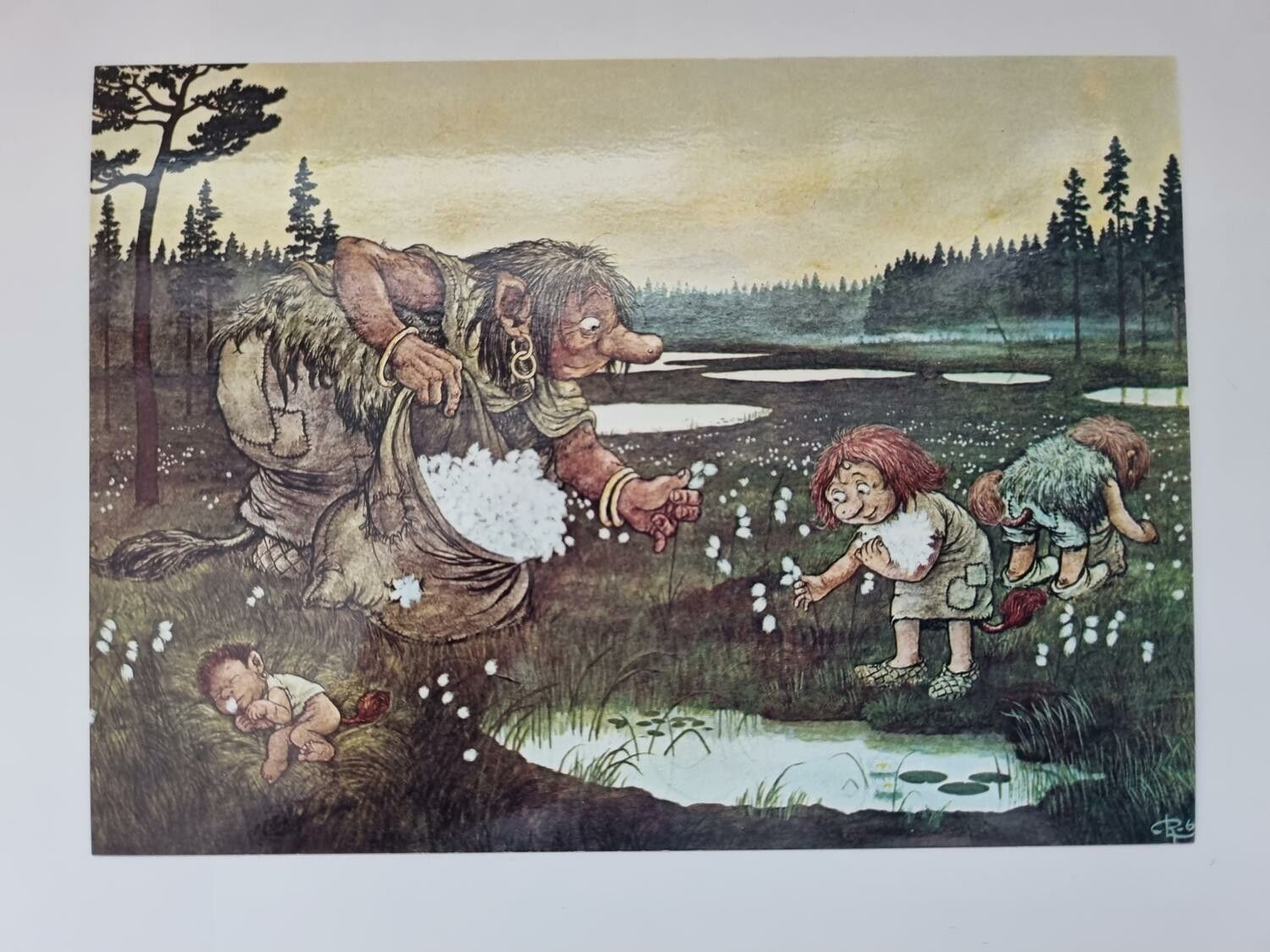 Vykort - Rolf Lidberg, Ängsull