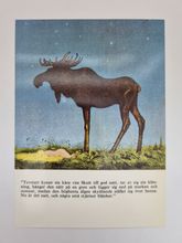 Vykort - John Bauer, Natt
