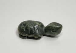 Söt liten grön sköldpadda, minisköldpadda, miniatyr