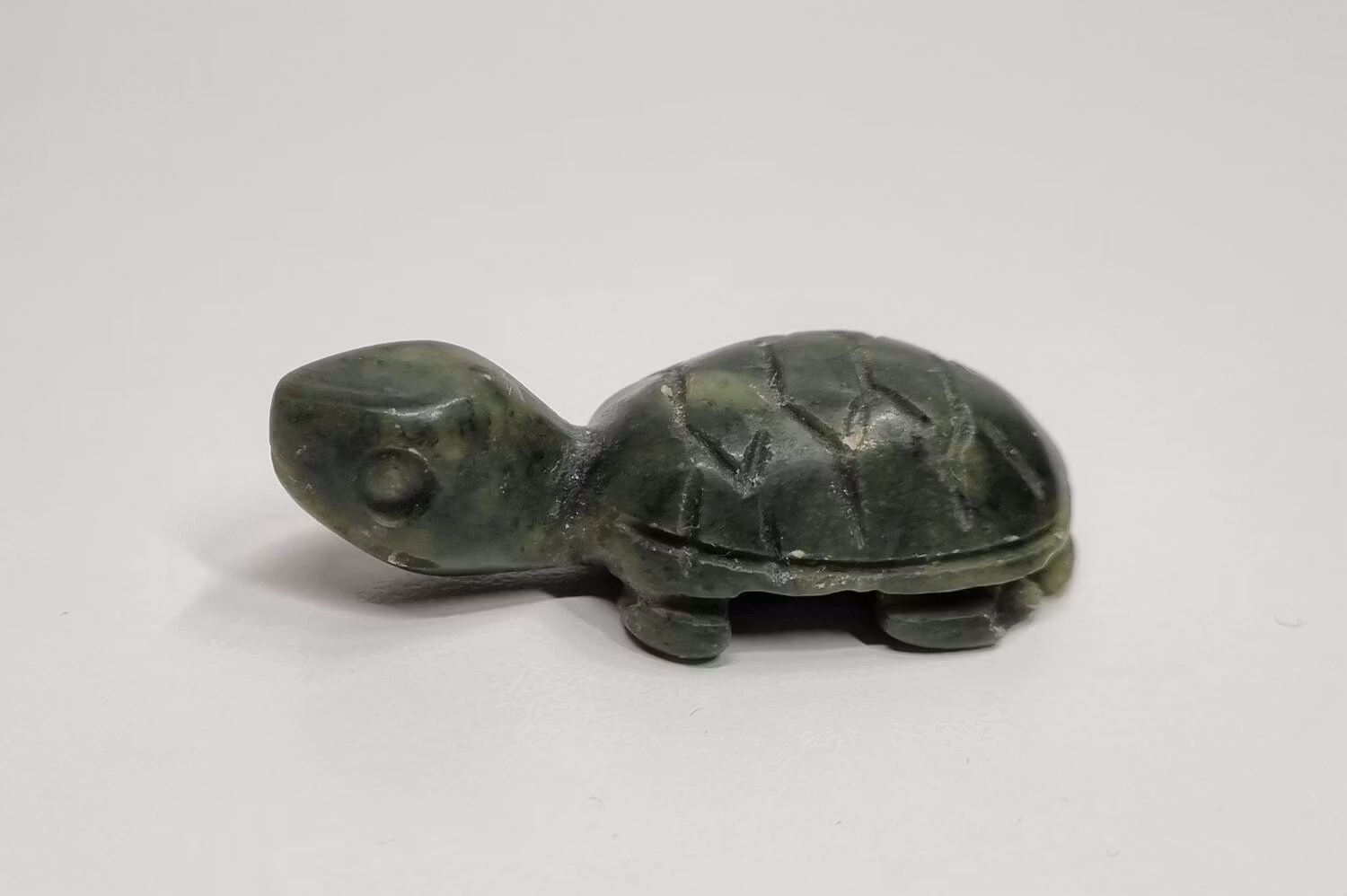 Söt liten grön sköldpadda, minisköldpadda, miniatyr