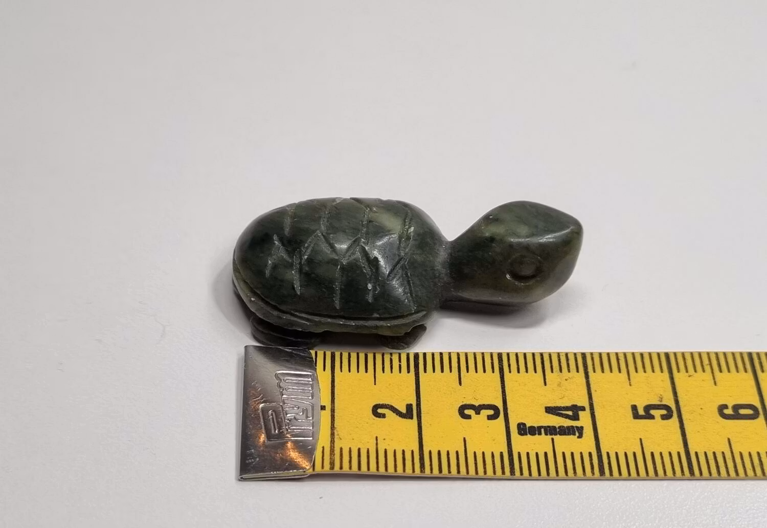 Söt liten grön sköldpadda, minisköldpadda, miniatyr