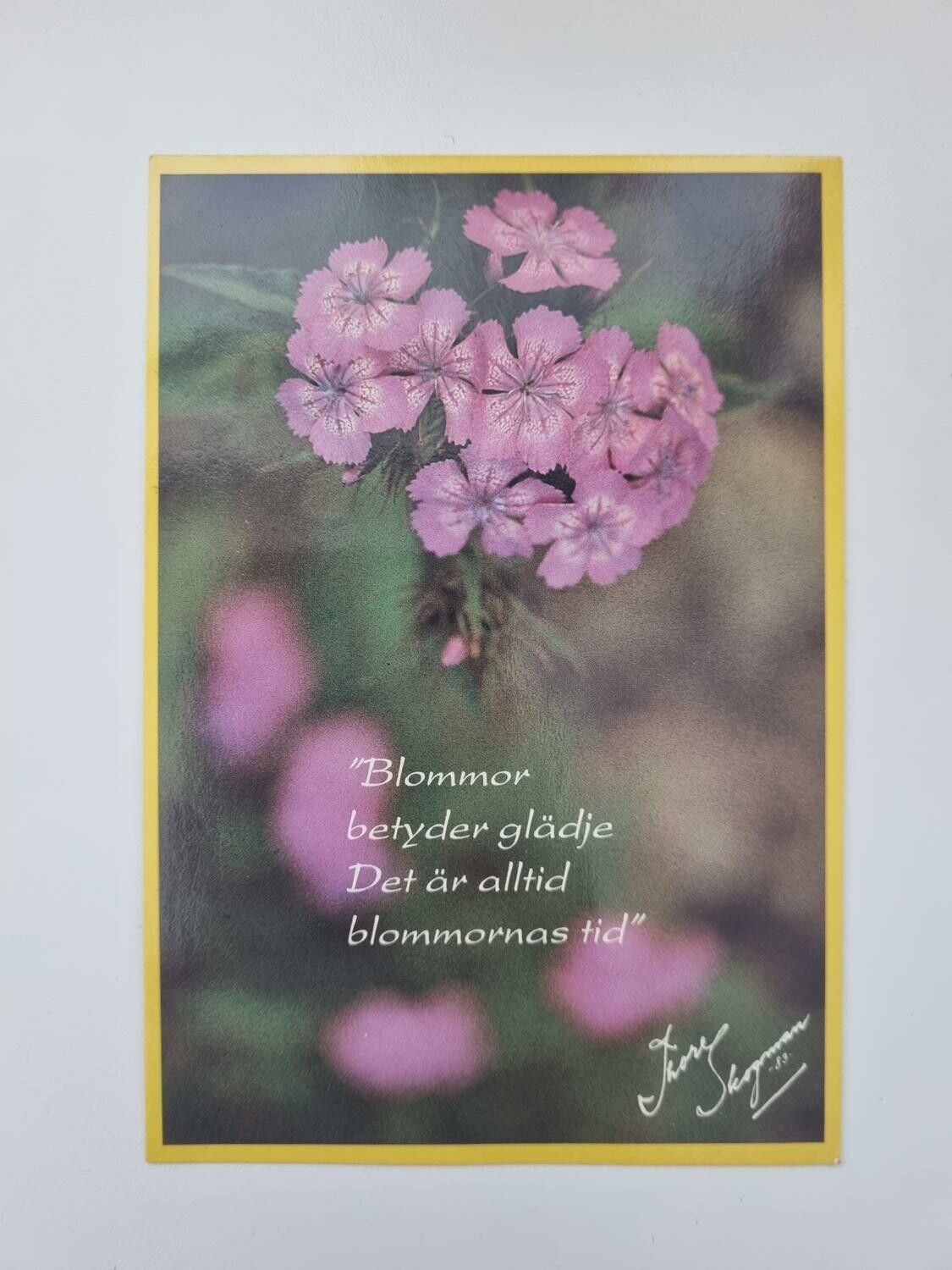 Vykort / kort - Thore Skogman - "Blommor betyder glädje. Det är alltid blommornas tid"