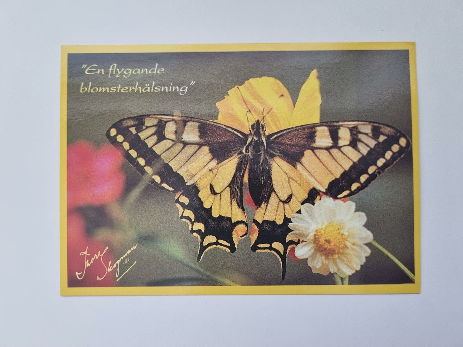 Vykort / kort - Thore Skogman - "En flygande blomsterhälsning"
