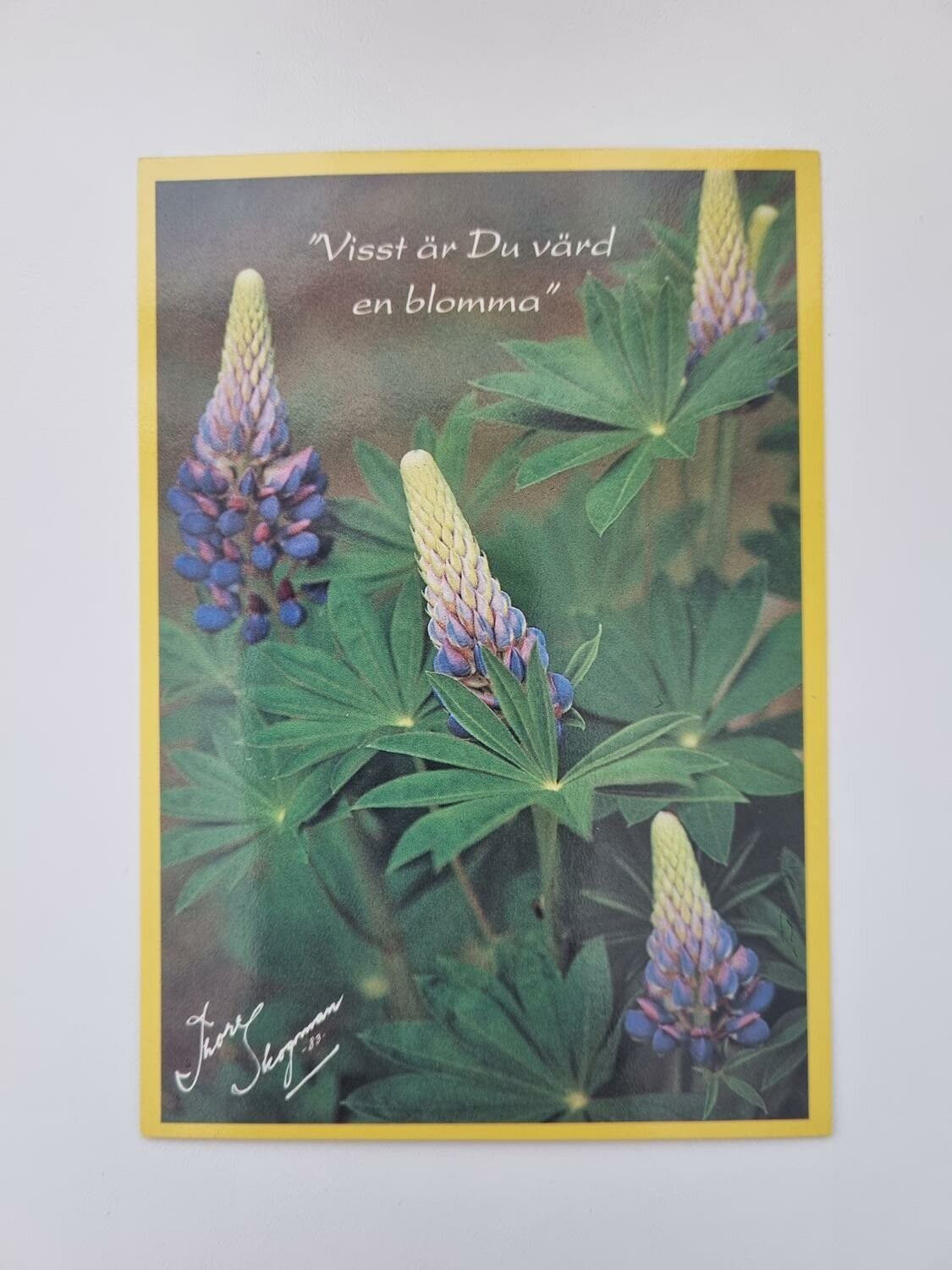 Vykort / kort - Thore Skogman - "Visst är Du värd en blomma"