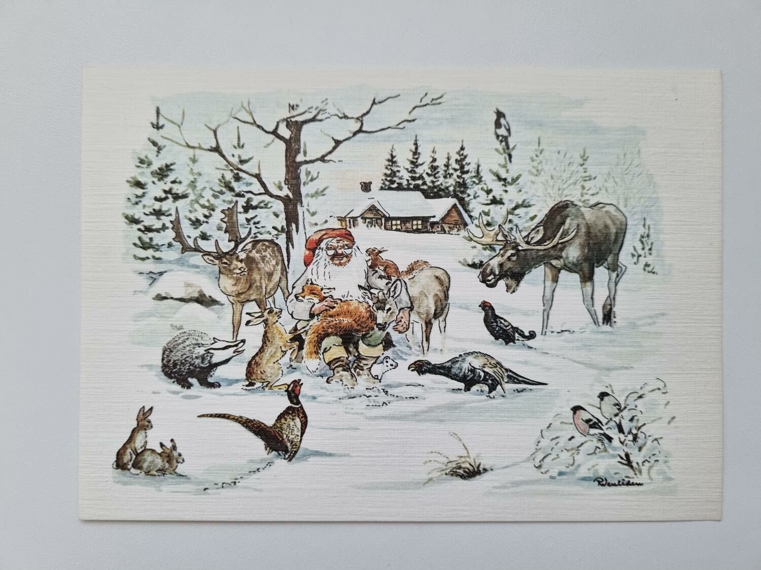 Vykort - Julkort, Rune Wenliden - Skogsdjurens jul