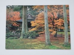 Vykort - Sanzen-in Temple in Autumn, Kyoto