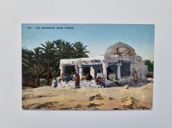 Vykort Algeriet, Un marabout dans l'oasis