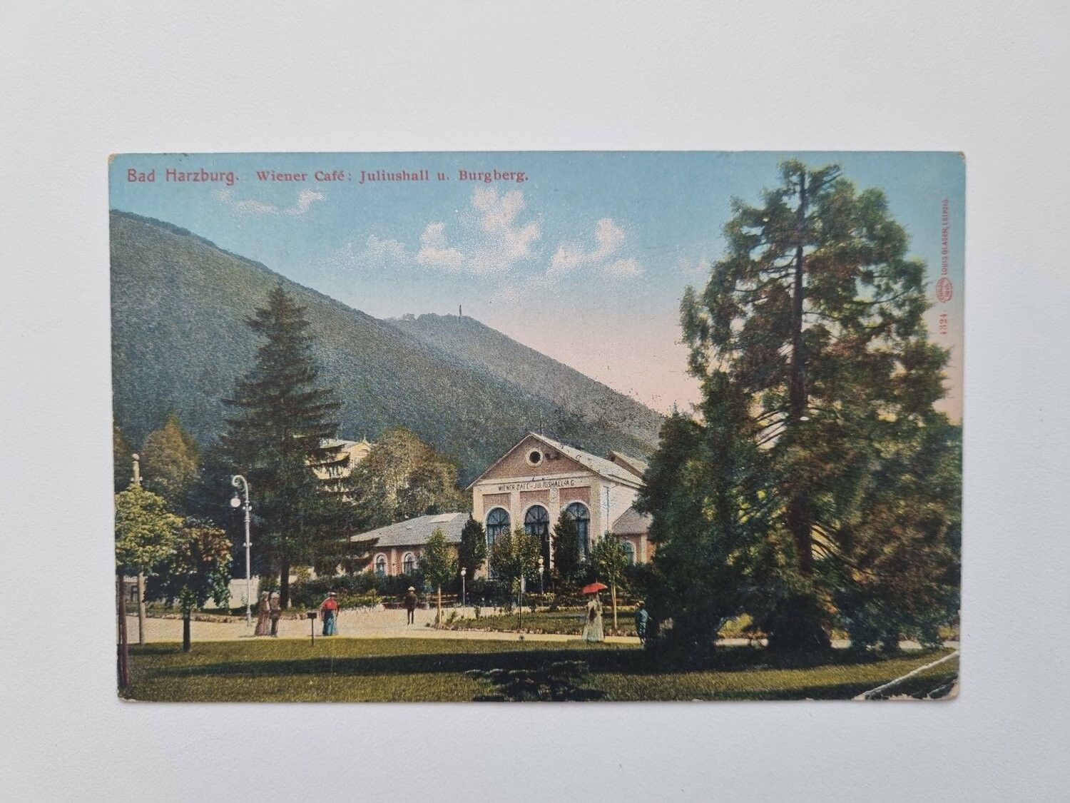 Vykort Bad Harzburg. Wiener Café: Juliushall u. Burgberg