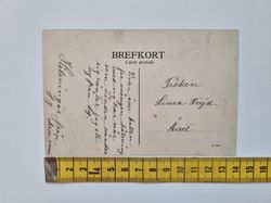 Vykort Biologiska Museumet, Djurgården, Stockholm