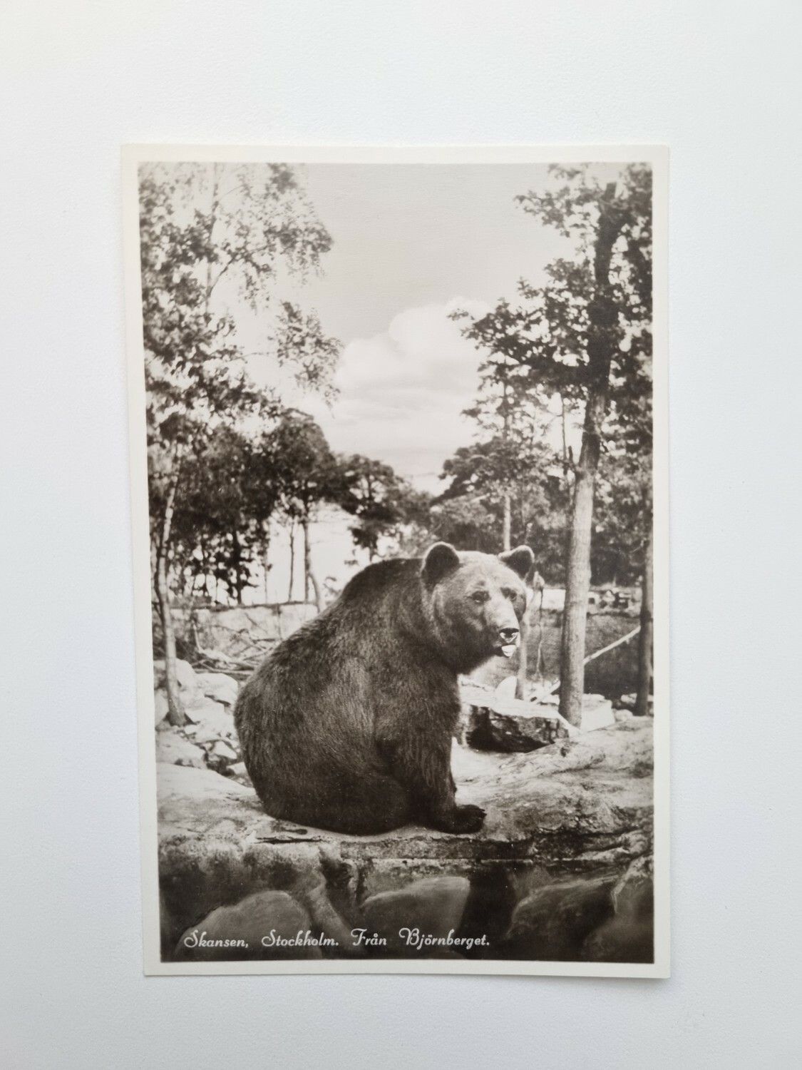 Vykort Skansen, Stockholm. Från Björnberget