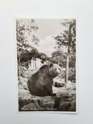 Vykort Skansen, Stockholm. Från Björnberget