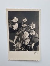 Vykort Blommor