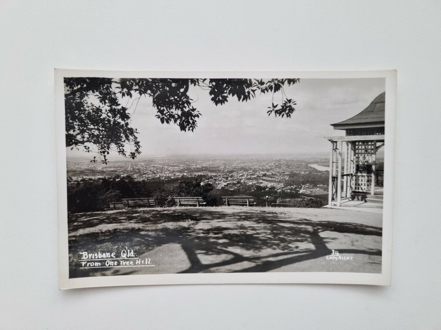 Vykort Brisbane Qld From One Tree Hill