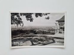 Vykort Brisbane Qld From One Tree Hill