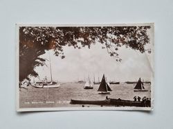 Vykort THE REGATTA COWES